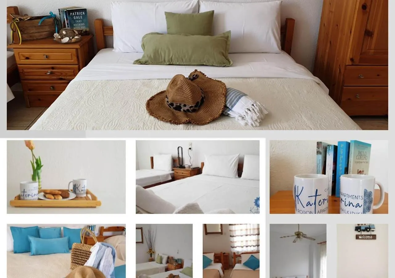 Katerina Rodon Apartments Nea Roda